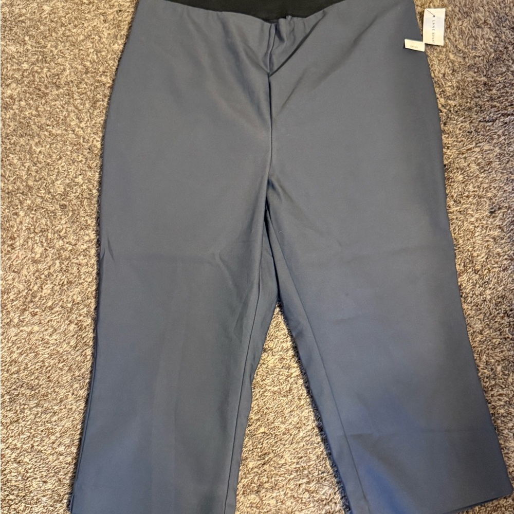 Lane Bryant Elegant Gray Pedal pushers size 14 NWT